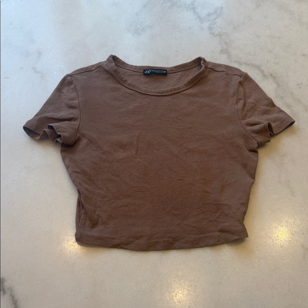Zara Brown Cropped Tee Short Sleeve Crewneck